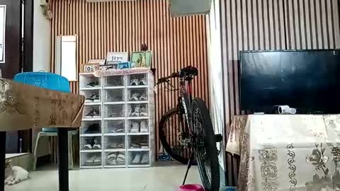 Kylie online show from 09/11/25, 12:44