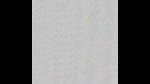 _maccaa_ online show from 11/12/25, 12:05