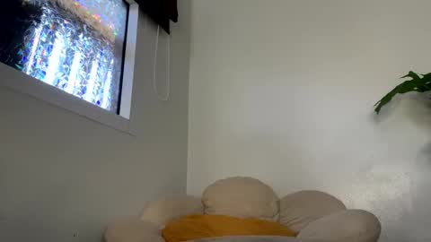 Francine Aisi Morpho - a genus of blue butterflies. online show from 01/29/25, 05:09