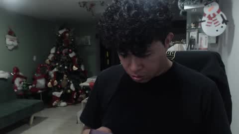 Snapshot of _mr_panda_ chatting on 12/20/24, 11:26 Panda online show from 12/20/24, 11:26