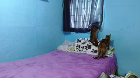 Sammy online show from 02/26/25, 06:21