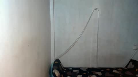 _shanexx online show from 12/15/25, 05:34