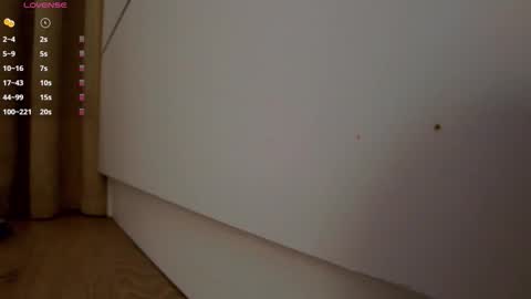 _smetanka_ online show from 11/01/25, 08:11