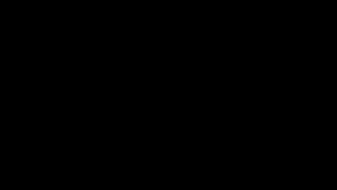 Snapshot of _squirty_pussyyy_ chatting on 01/04/25, 10:05 Melisa online show from 01/04/25, 10:05