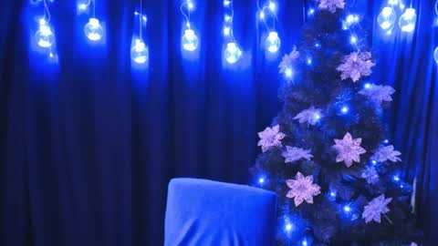    online show from 12/31/24, 10:01