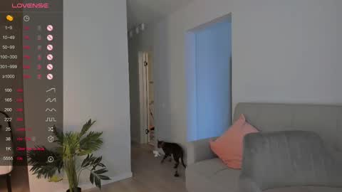 Tessa -  online show from 02/10/25, 09:58