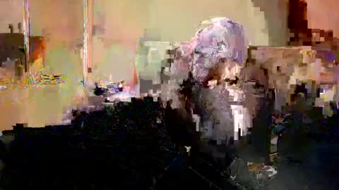 Nicole  Thomas  Dave online show from 05/20/26, 08:59