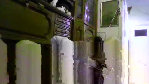 a203530 online show from 02/04/26, 08:53