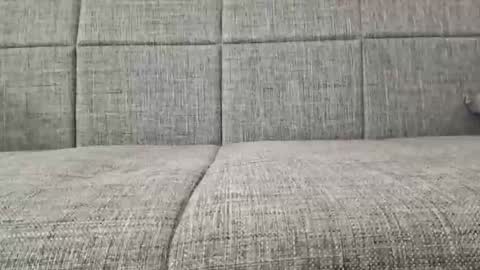 XXL online show from 04/19/26, 03:39