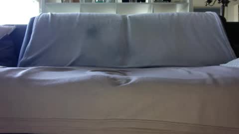 a_nice_dick_77 online show from 04/16/26, 07:31