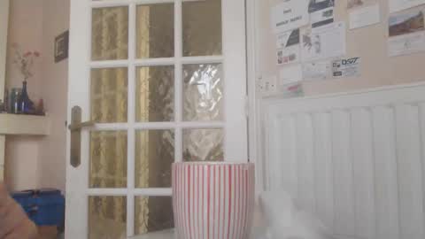 Snapshot of aalex1717 chatting on 01/14/26, 08:53 Aalex1717 online show from 01/14/26, 08:53