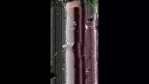 abdulwaris7072 online show from 03/15/26, 06:41