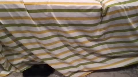 abe_froman2007 online show from 02/11/26, 07:24