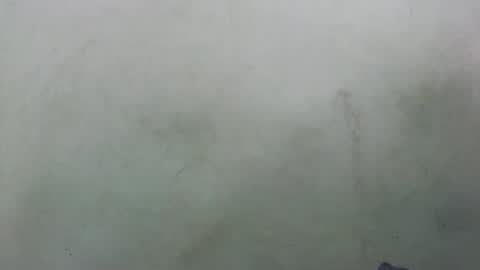 abella677022 online show from 02/16/26, 08:16