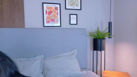 abiehils online show from 03/11/26, 11:49