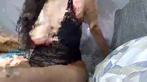 abril2026 online show from 02/07/26, 12:36