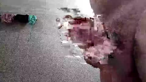 ac7492291 online show from 01/14/26, 02:33