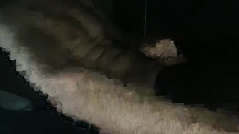 acid_lab online show from 12/16/24, 02:27