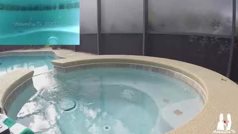 Adam And Eve online show from 11/29/25, 06:00