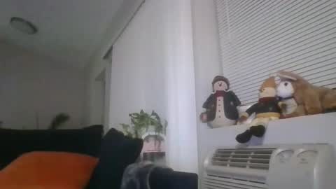 Britishadam online show from 03/01/26, 01:07