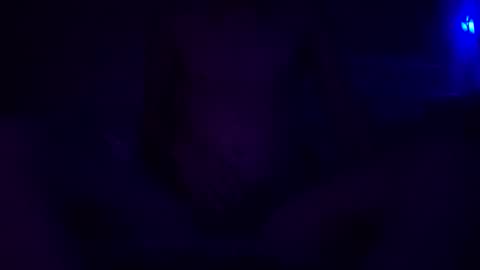 Snapshot of adamllamas chatting on 12/30/24, 05:48 adamllamas online show from 12/30/24, 05:48