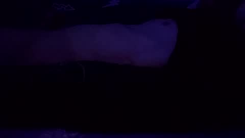 Snapshot of adamllamas chatting on 03/08/25, 07:49 adamllamas online show from 03/08/25, 07:49