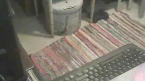 adamsny online show from 11/09/25, 06:55