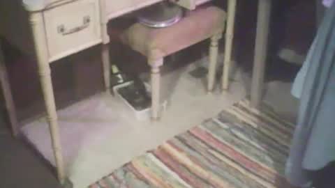 adamsny online show from 04/21/26, 04:41