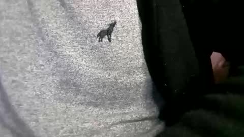 adarkvid420tj online show from 02/18/26, 06:20