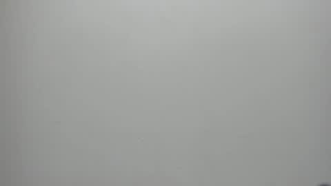 adbel sady online show from 01/17/25, 11:17