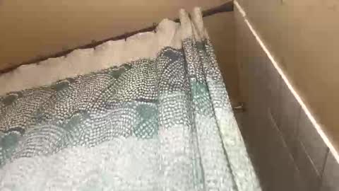 addictedtobustnloads1 online show from 01/12/26, 07:57