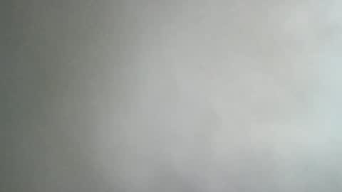 Snapshot of adi2019 chatting on 01/08/25, 11:54 adi2019 online show from 01/08/25, 11:54