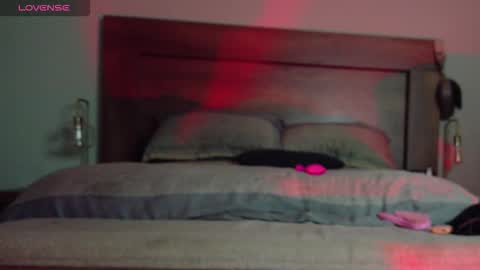 Snapshot of adn9000 chatting on 10/31/25, 04:24 Samantha  Josh online show from 10/31/25, 04:24