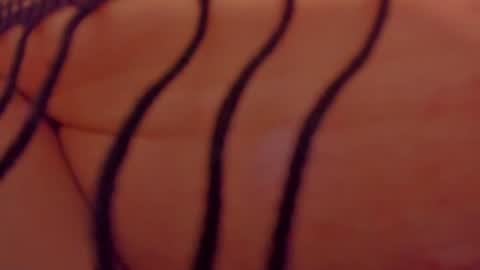 Snapshot of adriiana_fox_ chatting on 07/28/26, 06:20 adriiana_fox_ online show from 07/28/26, 06:20