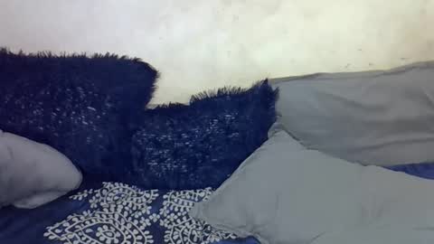 afrii_kity online show from 04/17/26, 03:42