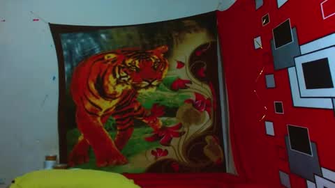 afrodita_024 online show from 01/11/25, 02:41