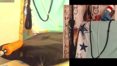 Snapshot of afroditacute16 chatting on 02/27/26, 01:55 afroditacute16 online show from 02/27/26, 01:55