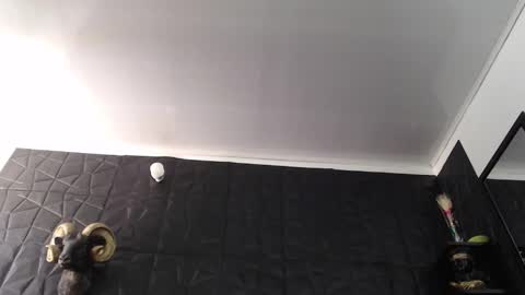  Miss Agata  online show from 02/05/26, 05:28