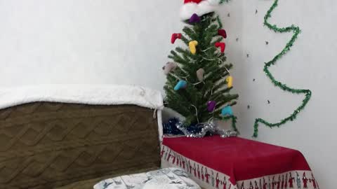 Snapshot of agatha_moore_ chatting on 01/02/25, 11:52 Agatha online show from 01/02/25, 11:52