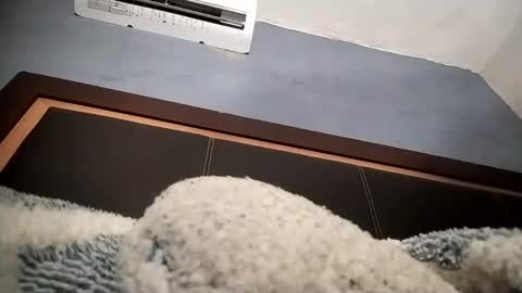 airoon91 online show from 11/16/25, 05:24