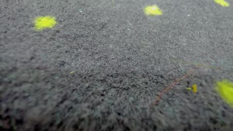 Aisha online show from 03/21/26, 08:19