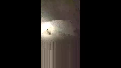 Snapshot of aj297914 chatting on 02/08/26, 05:22 aj297914 online show from 02/08/26, 05:22