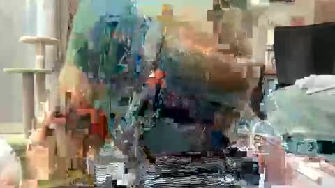 Akira Zay online show from 03/01/26, 07:54