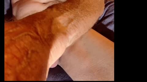 Snapshot of akiwi2 chatting on 12/20/24, 10:05 akiwi2 online show from 12/20/24, 10:05