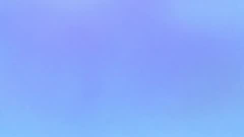 Alaia online show from 11/01/25, 10:01