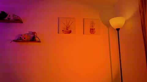   online show from 05/04/26, 10:33