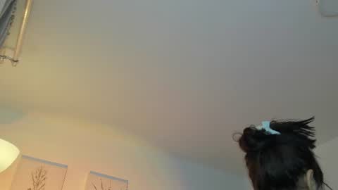   online show from 07/14/26, 10:43
