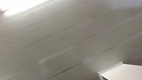 Maeve  online show from 12/29/24, 10:45