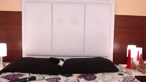 alana online show from 10/25/25, 03:58