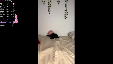 Alaska online show from 02/25/25, 11:08